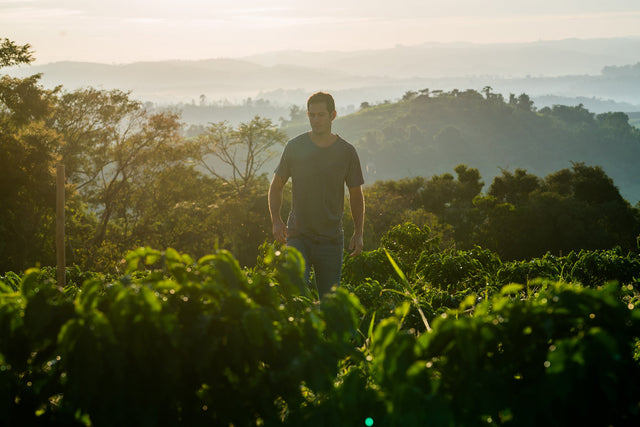 Reports From The Field - Felipe Croce of Fazenda Ambiental Fortaleza 01.