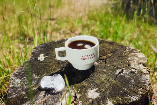 Holiday Blend Cold Brew Recipe